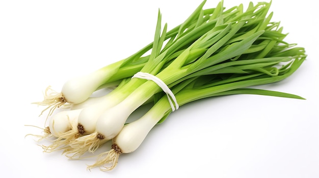 Fresh organic onions on white background