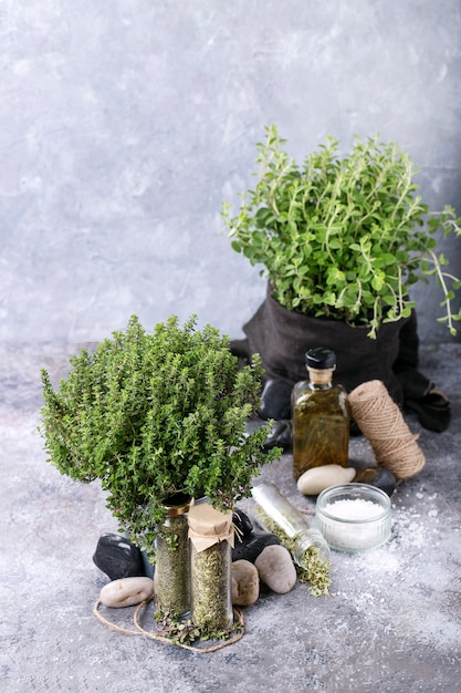 Fresh organic Oregano and Thyme