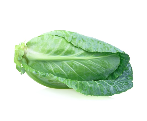Fresh organic pointed cabbage on white background