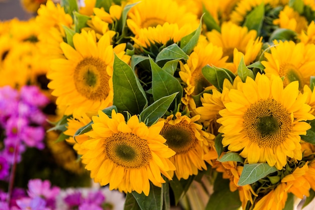 Fresh organic produce at the local farmers market.