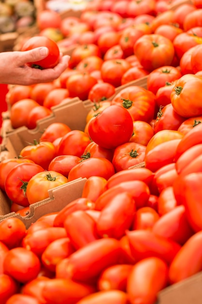 Fresh organic produce at the local farmers market.