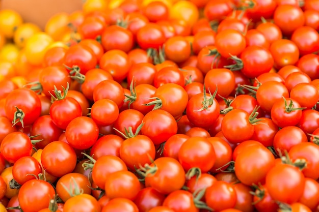 Prodotti biologici freschi al mercato degli agricoltori locali.