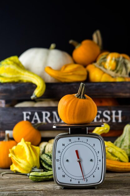 Fresh organic pumpkins from the local farmers market.