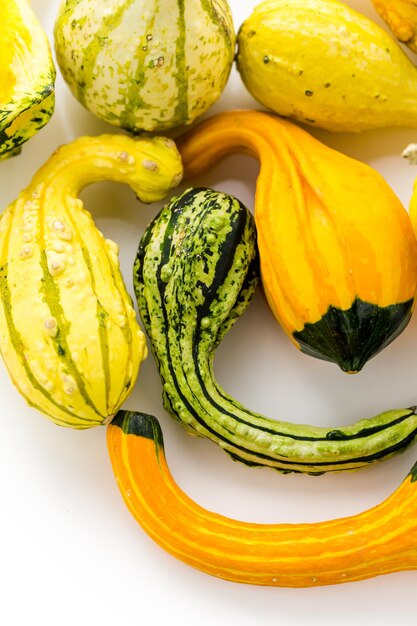 Fresh organic pumpkins from the local farmers market.