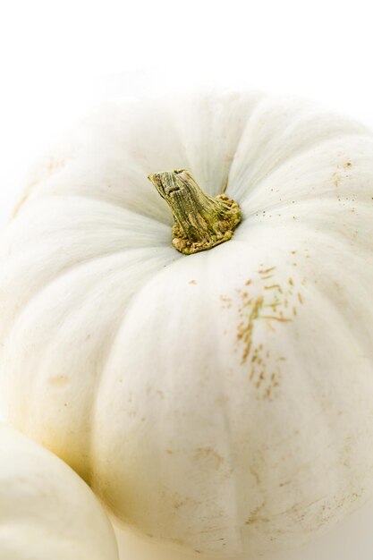 Fresh organic pumpkins from the local farmers market.