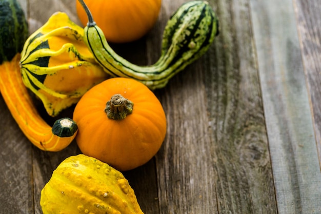 Foto zucche biologiche fresche dal mercato degli agricoltori locali.