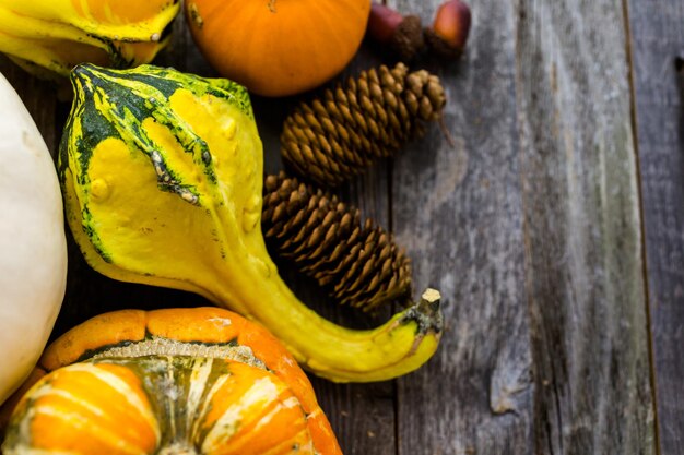 Fresh organic pumpkins from the local farmers market.