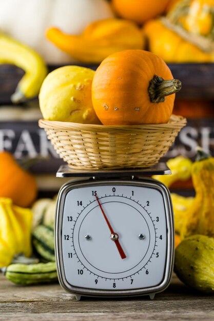 Fresh organic pumpkins from the local farmers market