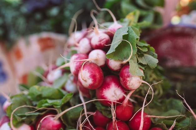 Fresh organic radish vegetables for sale on french farmers market