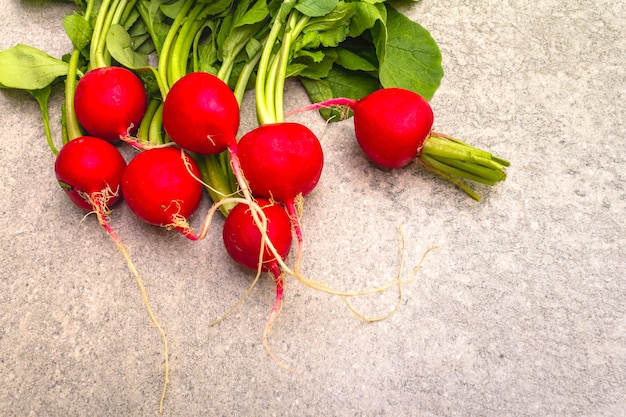 Fresh organic radish