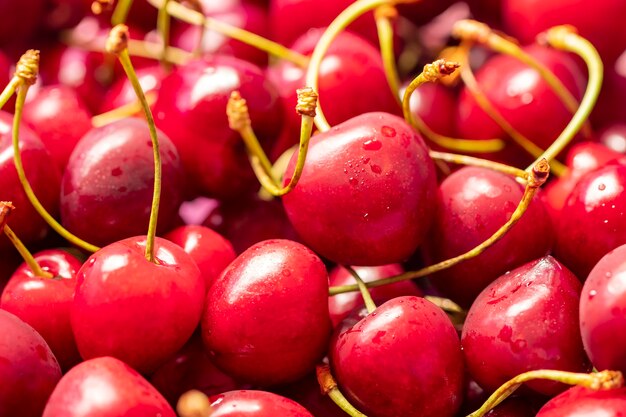 Fresh organic red cherries with stems, healthy fruit