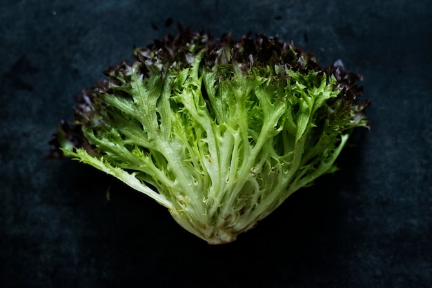 Fresh organic red leaf lettuce macro shot