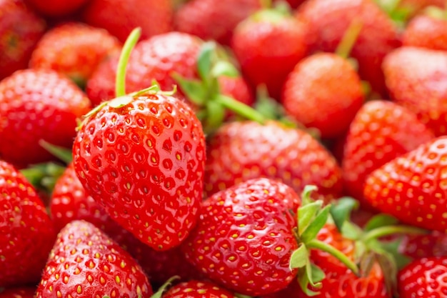 Fresh organic red ripe Strawberry fruit background closeup