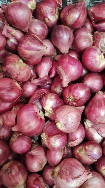 Fresh organic red shallot