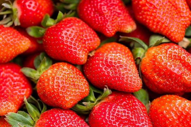 Fresh organic ripe strawberry pack in the box