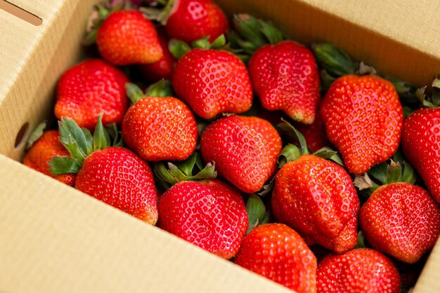 Fresh organic ripe strawberry pack in the box