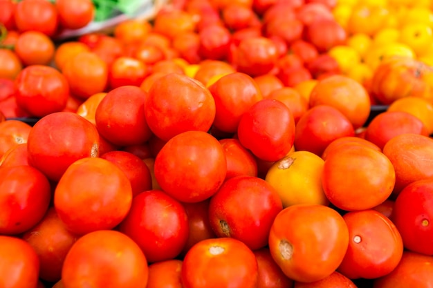 현지 농민 시장에서 판매 중인 신선한 유기농 로마 토마토.