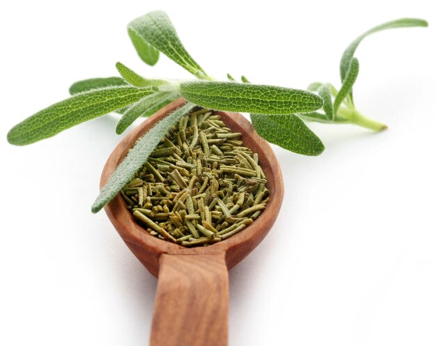 Fresh organic rosemary over white background