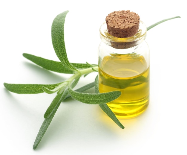 Fresh organic rosemary with essential oil over white background