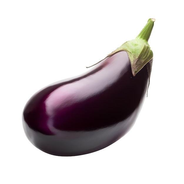 fresh organic Single Eggplants