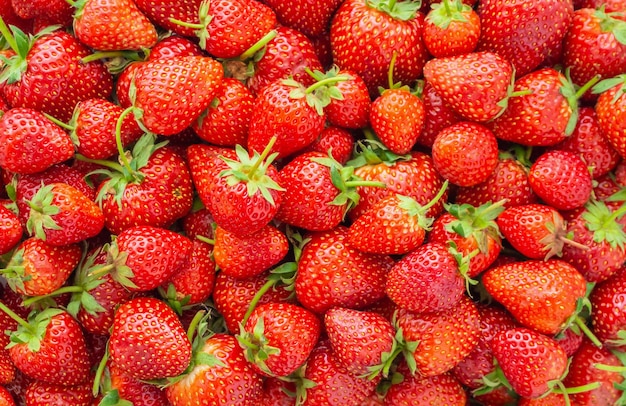 Fondo organico fresco della frutta della fragola primo piano di vista superiore