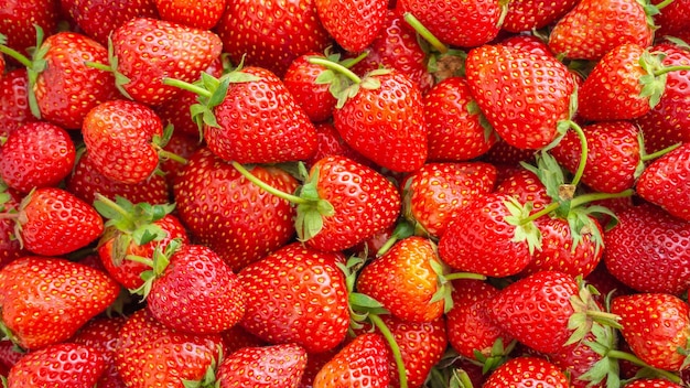 Photo fresh organic strawberry fruit background top view closeup