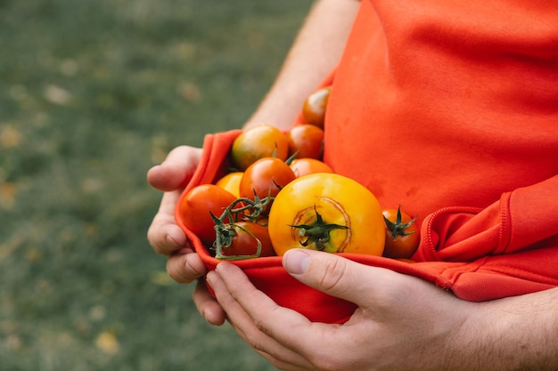 Fresh organic tomato mix delicious autumn tomato mix