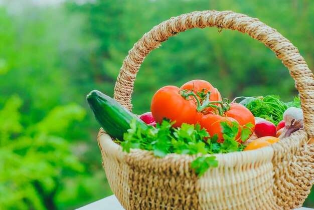 かごの中の新鮮な有機野菜