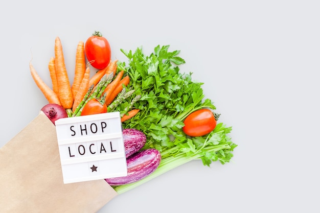 Fresh organic vegetables in craft shopping bag