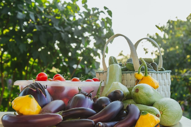 Foto verdure e frutta organiche fresche in un canestro su una tavola nel giardino. alimentazione sana melanzane, zucca, cetrioli, pomodori, zucchine. verdure sull'insalata.