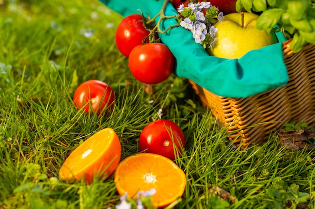 Foto verdure organiche fresche in cestino di vimini nel giardino