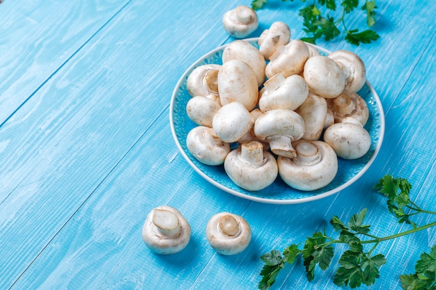 Fresh organic white mushrooms champignon,top view