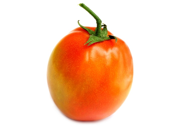 Fresh organic whole tomato