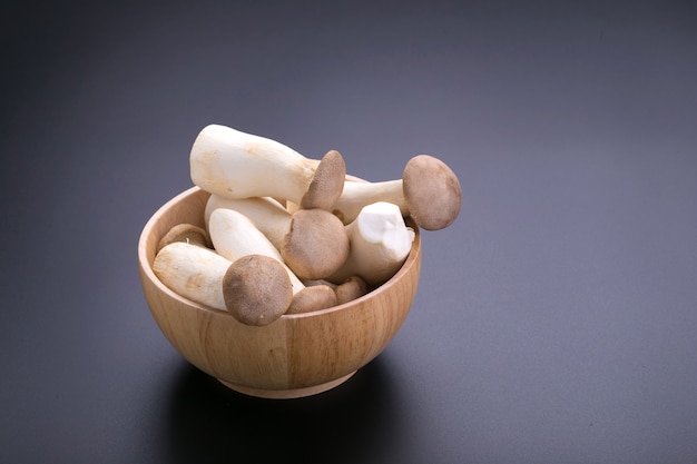 fresh origin mushroom on a black background