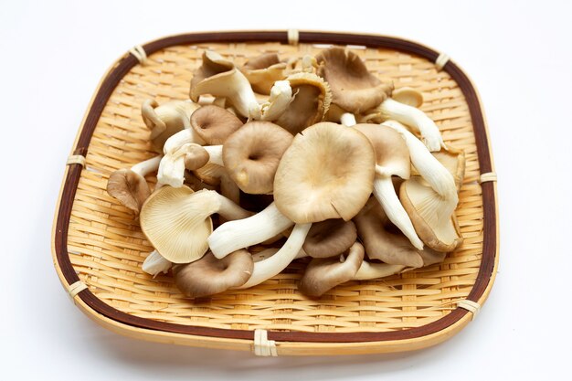 Photo fresh oyster mushroom in bamboo basket on white background.