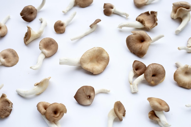 Fresh oyster mushroom in bamboo basket on white background.