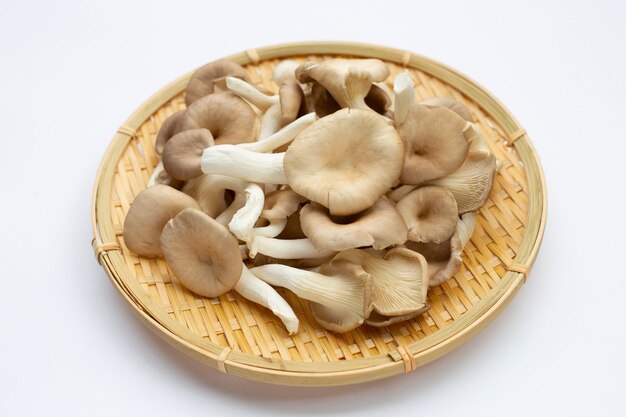 Fresh oyster mushroom in round bamboo basket on white background.