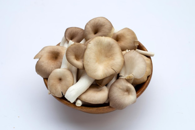 Fresh oyster mushroom in wooden bowl in bowl on white background.