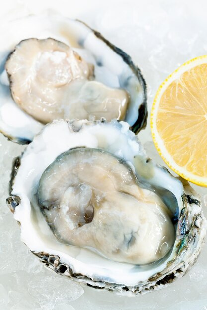 Fresh oysters for appetizer