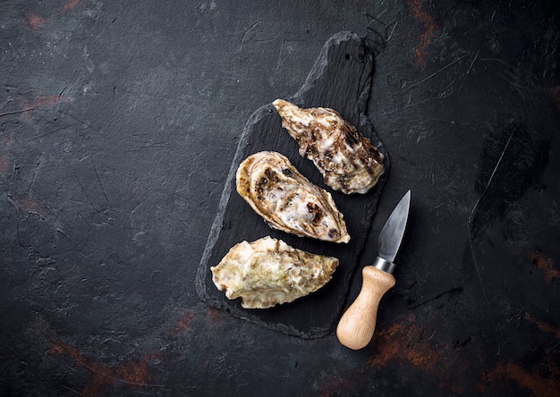 Fresh oysters on dark background