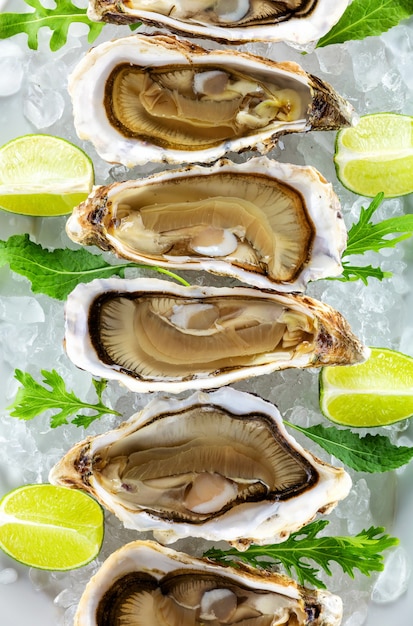 Fresh oysters on ice with pieces of lime