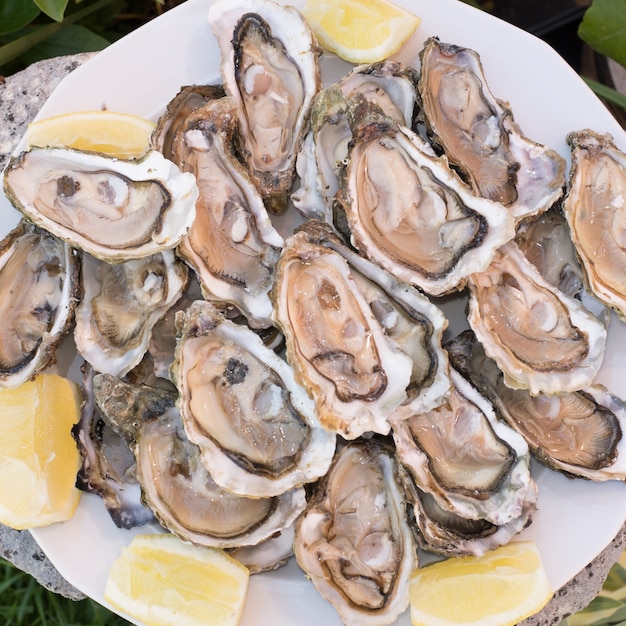 Fresh oysters in a white plate with ice and lemon on a  desk