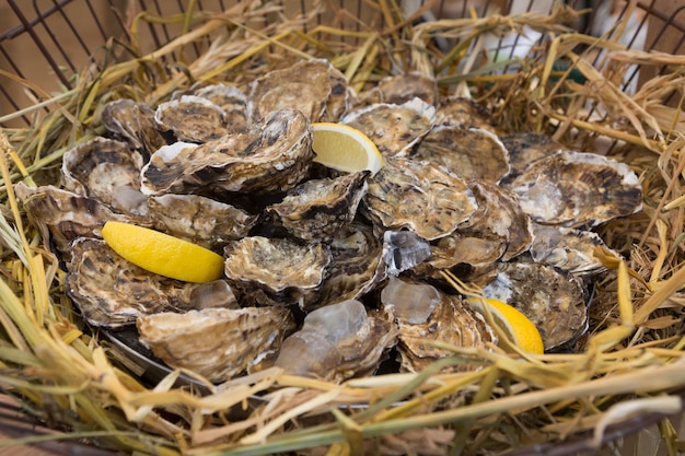 Fresh oysters in wicker basket