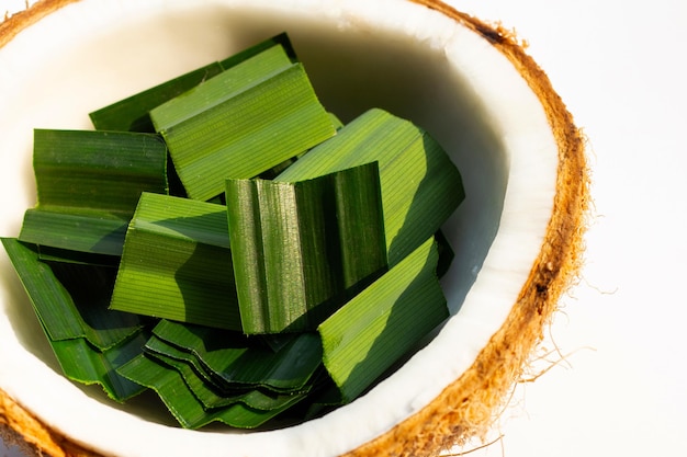 Fresh pandan leaves in coconut