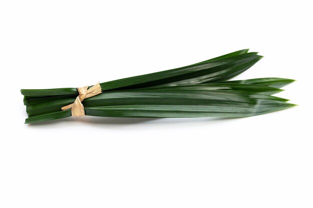 Fresh pandan leaves on white background