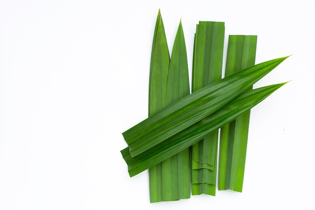 Fresh pandan leaves on white background