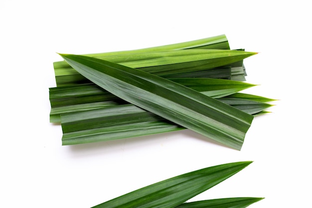 Fresh pandan leaves on white background