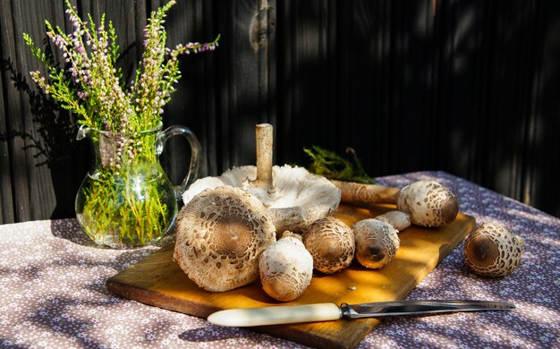 가을 야외 테이블에 신선한 파라솔 버섯 (Macrolepiota procera)