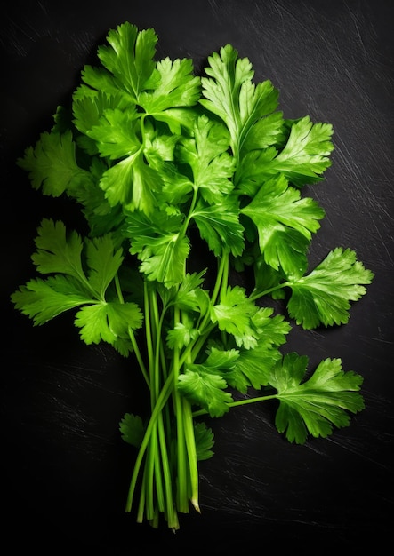 Fresh parsley on a black background Generative AI