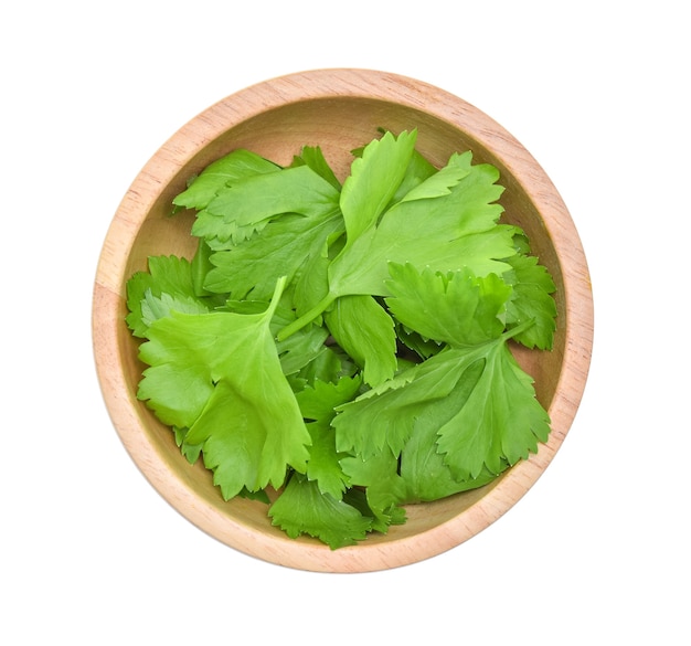 Fresh parsley bunch isolated on white background